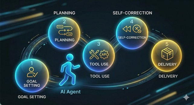 DT EXPERT