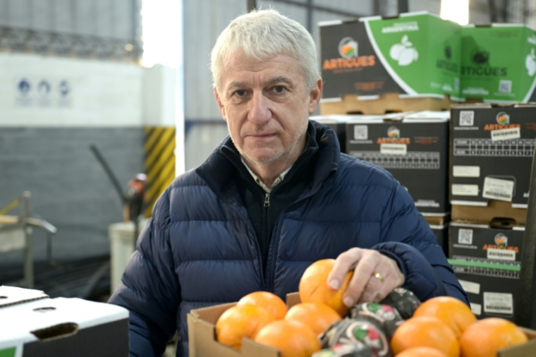 Ruben Artigues, producteur de fruits et légumes de troisième génération à San Pedro qui continue de soutenir le président Javier Milei, province de Buenos Aires en Argentine le 30 juillet 2025. ( AFP / JUAN MABROMATA )