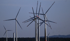 ( AFP / INA FASSBENDER )