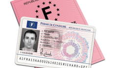 Le permis de conduire peut désormais vous suivre sur votre smartphone (Crédits photo : Adobe Stock -  )