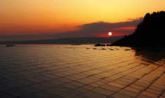 Ferme de panneaux solaires au Japon. (© Pierre-Olivier / Capa Pictures / Total)