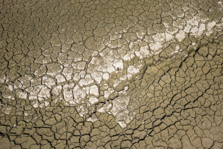 Le fond du lac des Brenets, frontière naturelle entre la France et la Suisse, le 11 août 2026 ( AFP / Fabrice COFFRINI )