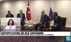 Exportation de blé ukrainien : vers un accord entre Kiev et Moscou sous l'égide de la Turquie