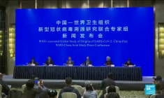 Enquête de l'OMS à Wuhan : l'animal à l'origine du coronavirus "pas encore identifié"