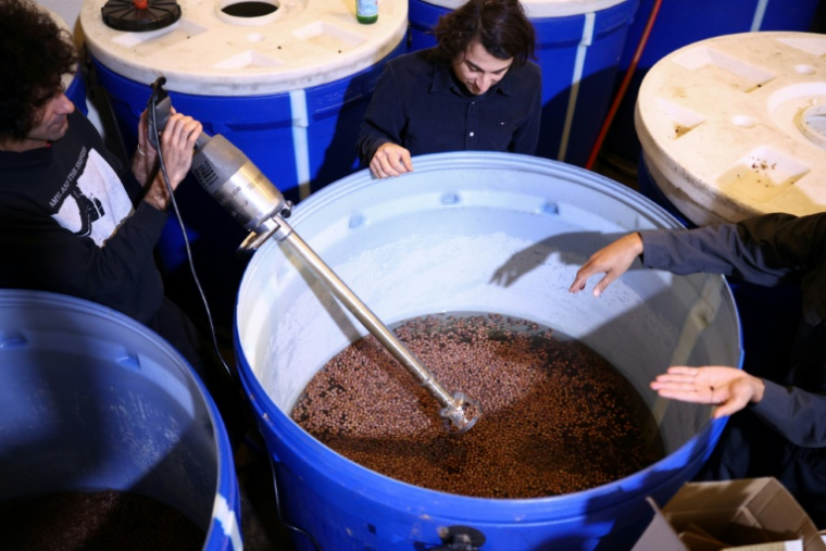 Siavash Karampour (à gauche) et Sasan Oskouei (au centre) mélangent des raisins secs à de l'eau pour la fabrication d'une eau-de-vie traditionnelle iranienne appelée aragh sagi, dans une distillerie de Yonkers, dans l'État de New York, le 21 avril 2026 ( AFP / CHARLY TRIBALLEAU )