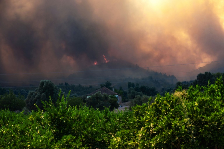 Un incendie de forêt à Izmir, en Turquie, le 30 juin 2025 ( AFP / AHMET AYBERK CIMEN )
