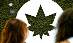 Des visiteuses regardent des produits exposés au premier salon du CBD, le 21 mai 2022 à Paris ( AFP / Emmanuel DUNAND )