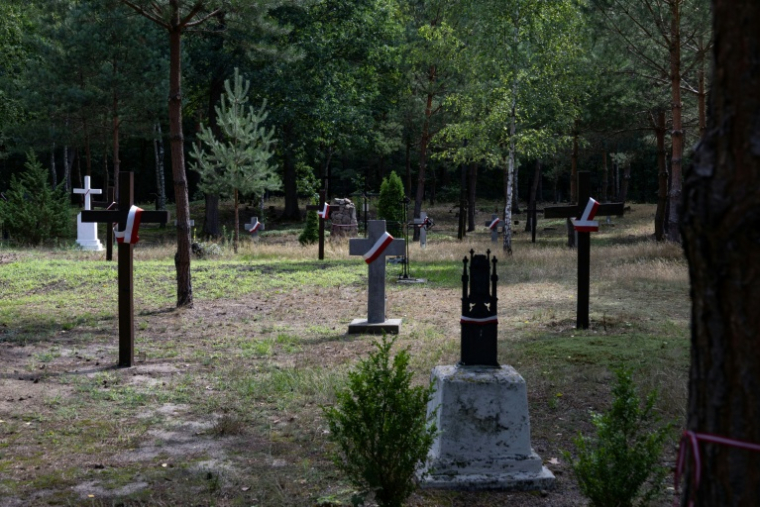 Un cimetière sur le site d’exhumation du massacre de Volhynie de la Seconde Guerre mondiale, près du village détruit d’Ostrivky, dans la région de Volyn, le 28 juillet 2026 ( AFP / Serhii Okunev )