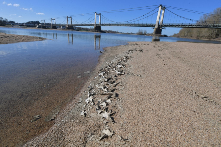 ( AFP / JEAN-FRANCOIS MONIER )