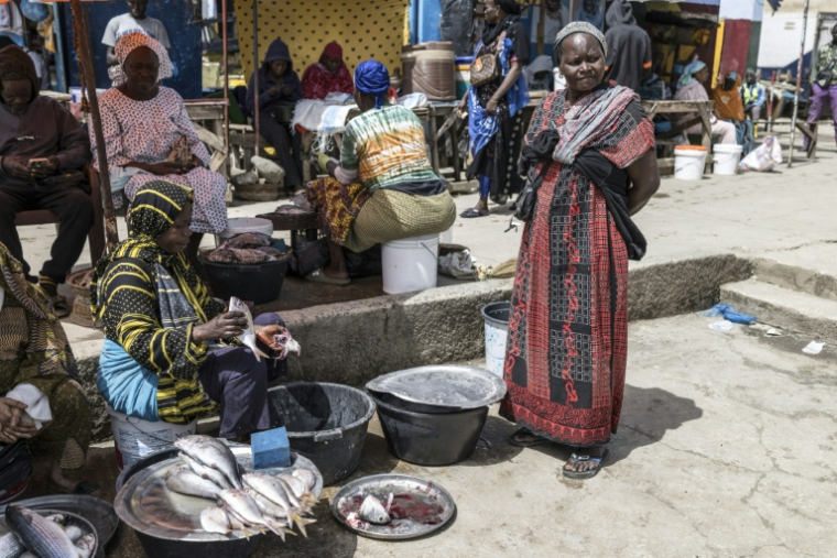Une cliente et une vendeuse qui nettoie un poisson sur son étal, sur le quai de Rufisque, le 3 mars 2026, au Sénégal ( AFP / PATRICK MEINHARDT )