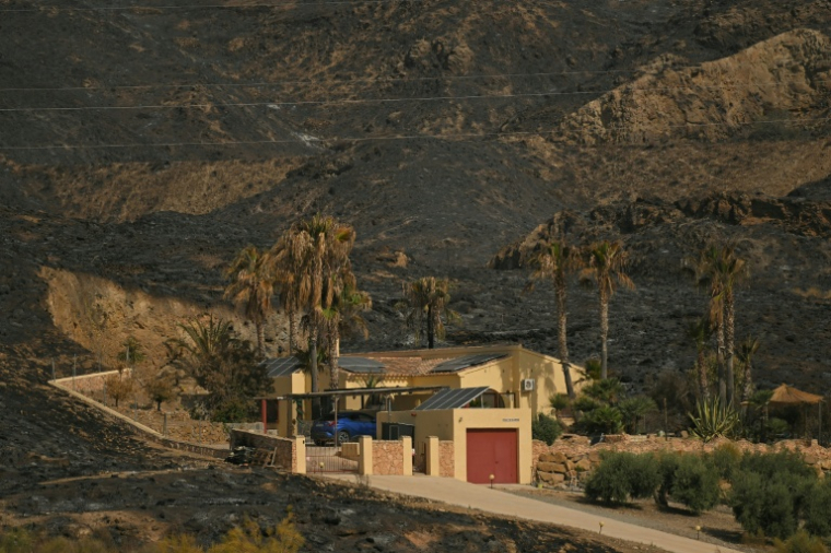 Une maison au milieu d'un paysage calciné est visible après un incendie de forêt ayant tué au moins 12 personnes, dans le district de Los Gallardos, province d'Almería, le 11 juillet 2026 ( AFP / JORGE GUERRERO )