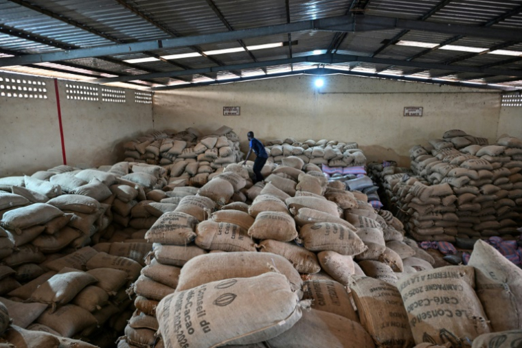 Des sacs de cacao stockés dans l’entrepôt d’une coopérative d’achat de cacao, à Duekoué, en Côte d'Ivoire le 15 janvier 2026 ( AFP / Sia KAMBOU )