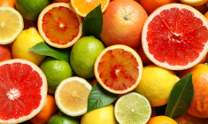 Allons-nous vivre dans un monde sans agrumes ?