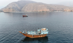 Des bateaux ancrés près du détroit d'Ormuz, au large d'Oman, le 27 juin 2026 ( AFP / - )