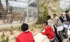 Au zoo de Tripoli après sa réouverture, le premier jour de la fête de l'Aïd al-Fitr, après presque 17 ans de fermeture, le 20 mars 2026 ( AFP / Mahmud Turkia )