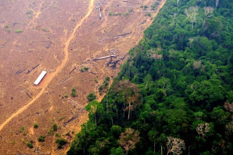 Lula a également fortement réduit la déforestation en Amazonie, même si l'environnement a brillé par son absence dans la campagne ( AFP / DOUGLAS MAGNO )