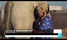 Vidéo : en Asie centrale, la mer d’Aral renoue avec l'eau et la vie