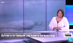 Dépasser 1,5°C de réchauffement climatique aurait des conséquences irréversibles (étude)