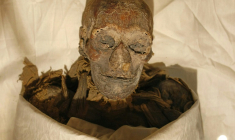 Les restes momifiés de la reine Hatchepsout, célèbre femme pharaon de l'Égypte ancienne, au musée du Caire en 2007 ( AFP / CRIS BOURONCLE )