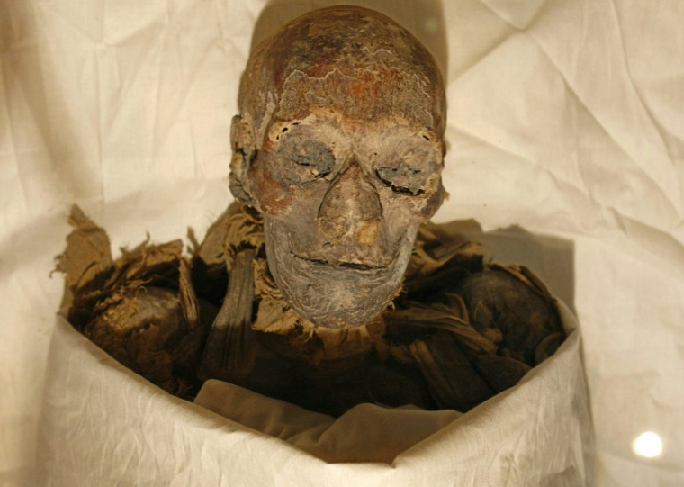 Les restes momifiés de la reine égyptienne Hatchepsout exposés dans une vitrine après avoir été dévoilés au Musée du Caire, le 27 juin 2007 ( AFP / CRIS BOURONCLE )