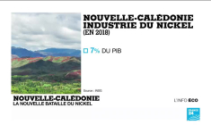 L'"or vert" de Nouvelle-Calédonie menacé par un conflit politico-social