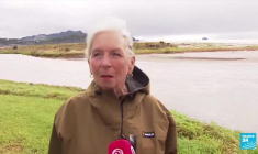 État d'urgence en Nouvelle-Zélande : des dégâts considérables après le passage d'un cyclone
