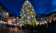 ( AFP / PATRICK HERTZOG )