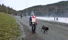 CORONAVIRUS: LA NORVÈGE ASSOUPLIT LE CONFINEMENT DANS LA RÉGION D'OSLO