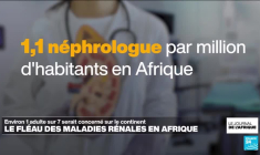 Perquisition chez des proches de Félix Tshisekedi en Belgique