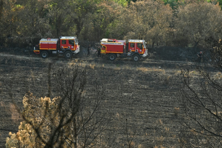Des camions de pompiers évoluent sur un chemin dans une forêt touchée par des incendies, le 8 août 2025 à Lagrasse, dans l'Aude ( AFP / Bertrand GUAY )