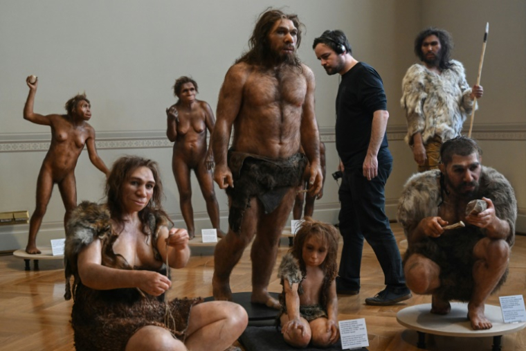 Reconstitution artistique des ancêtres humains exposée au musée national de Prague, le 4 février 2025 en République tchèque ( AFP / Michal Cizek )