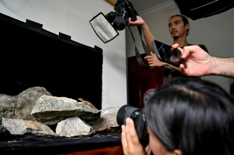 Des zoologues prennent des photos d'un gecko dans une chambre d'hôtel de Phnom Proek, dans la province de Battambang, au Cambodge, le 22 juillet 2025 ( AFP / TANG CHHIN Sothy )