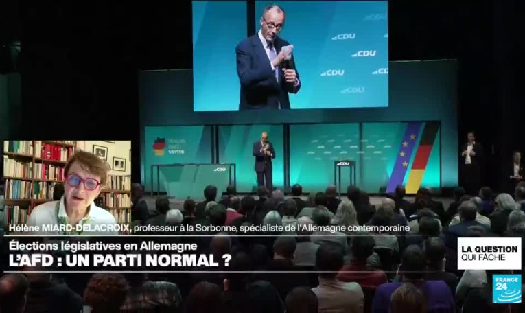 L'AFD : un parti normal ?