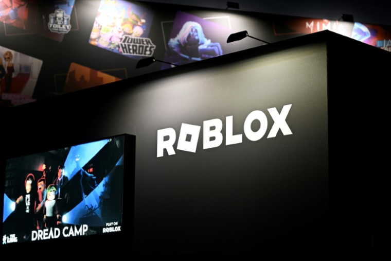 L'éditeur du jeu vidéo américain "Roblox" a annoncé qu'il allait mettre en place dans les prochains mois une vérification de l'âge de tous ses utilisateurs ( AFP / Ina FASSBENDER )