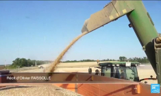 L'UE veut taxer les céréales russes pour "assécher" les revenus de Moscou