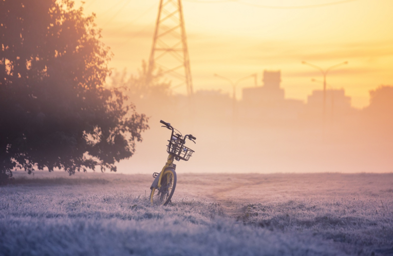 Comment protéger son vélo du vol (Crédits photo : Shutterstock)
