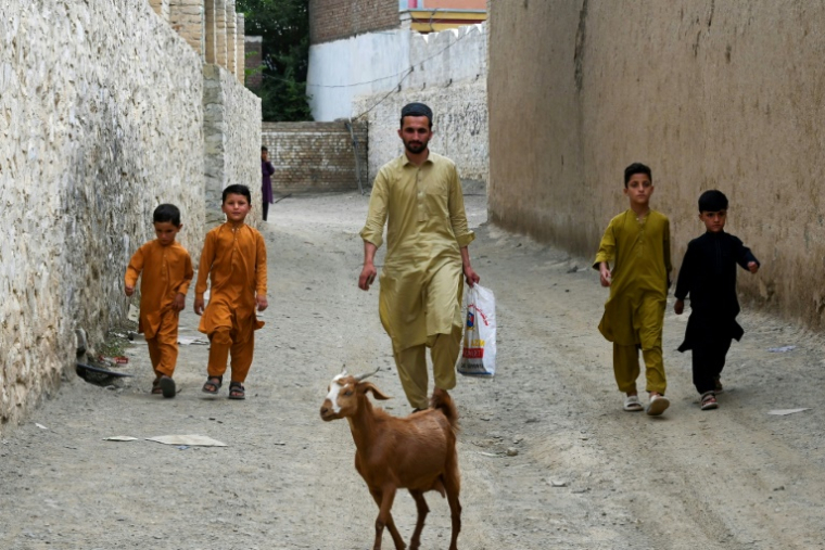 I ( AFP / Abdul MAJEED )