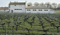 Une école élémentaire bâtie en bordure d'un vignoble, à Villeneuve (Gironde), le 23 mars 2016 ( AFP / GEORGES GOBET )