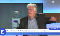 Elie Cohen : "Nous aurions dû faire du "quoi qu'il en coûte" dans le domaine sanitaire !"