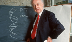 James Watson, prix Nobel de Médecine pour avoir découvert la structure moléculaire de l'ADN, photographié à Paris le 23 avril 1993 ( AFP / DANIEL MORDZINSKI )