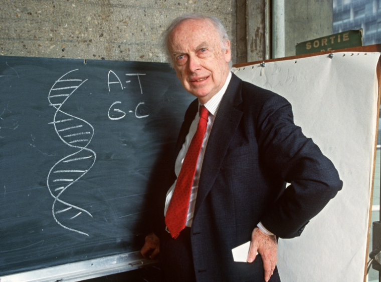 James Watson, prix Nobel de Médecine pour avoir découvert la structure moléculaire de l'ADN, photographié à Paris le 23 avril 1993 ( AFP / DANIEL MORDZINSKI )