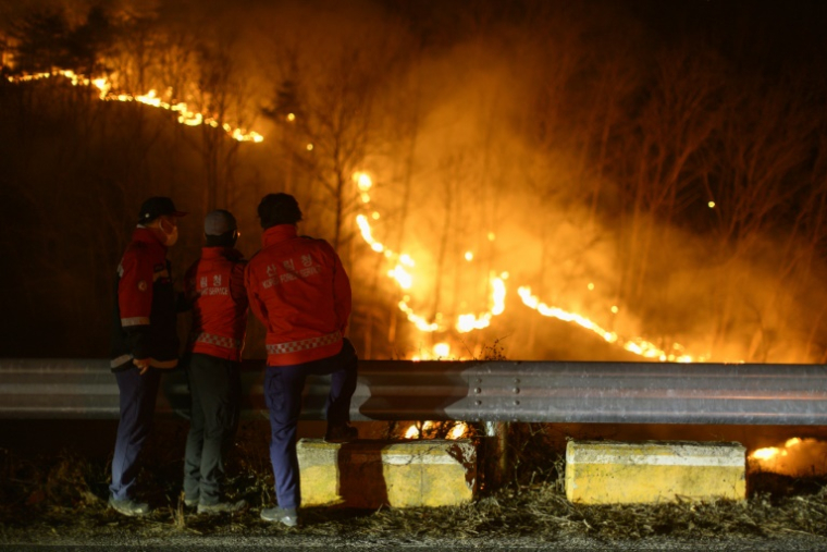 Des agents du Service des forêts sud-coréen observent les graves incendies qui ont ravagé le sud-est du pays, le 27 mars 2025 à Andong ( AFP / ANTHONY WALLACE )
