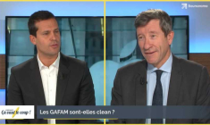Les GAFAM sont-elles clean ?