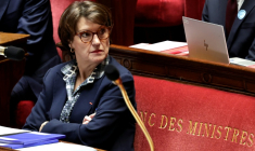 La ministre de l'Agriculture Anne Genevard à l'Assemblée nationale, le 11 février 2026 à Paris ( AFP / STEPHANE DE SAKUTIN )