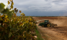 Un tracteur prépare les sols pour la culture d'amandiers à la place d'un ancien vignoble, le 13 octobre 2025 près de Lodi, en Californie ( AFP / Patrick T. Fallon )