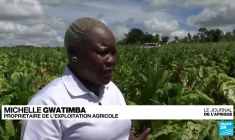 Au Zimbabwe, le secteur agricole s'ouvre de plus en plus aux femmes