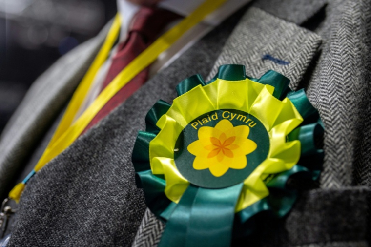 Une rosette du parti gallois indépendantiste Plaid Cymru, le 8 mai 2026 à Llandudno, au nord du pays de Galles, au Royaume-Uni ( AFP / Mark NAFTALIN )