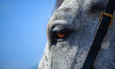 Le jeune homme qui vit et travaille en Haute-Loire veut faire des économies face à la flambée des prix. (illustration) (jkdesign1983 / Pixabay)