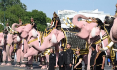 Thaïlande: onze éléphants roses défilent en hommage à la défunte reine mère