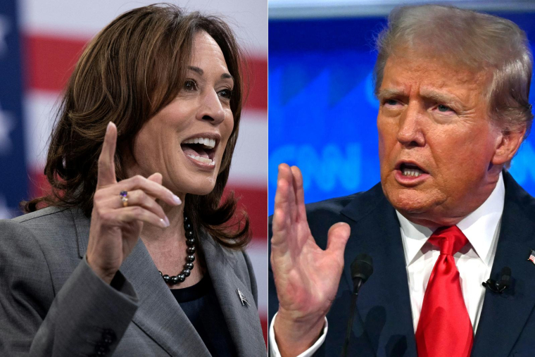 Kamala Harris et Donald Trump. ( AFP / BRENDAN SMIALOWSKI )